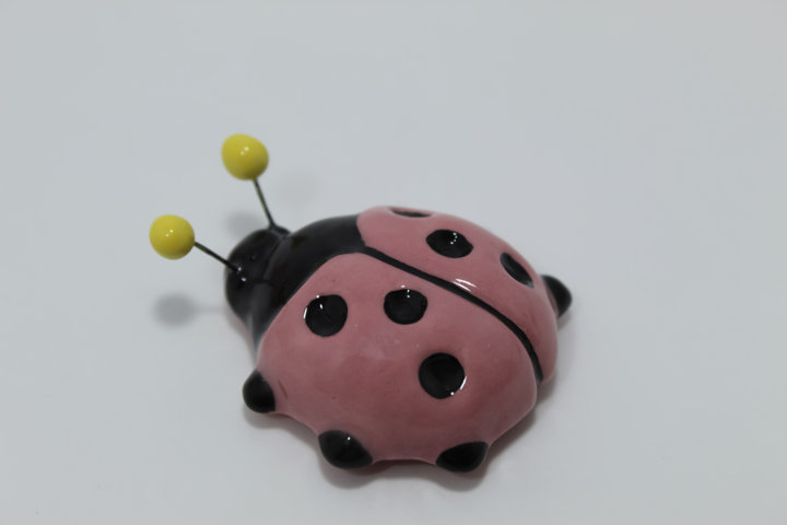 Ladybug Baby with antennae